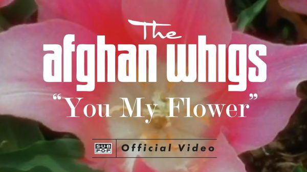 Afghan whigs - you my flower
